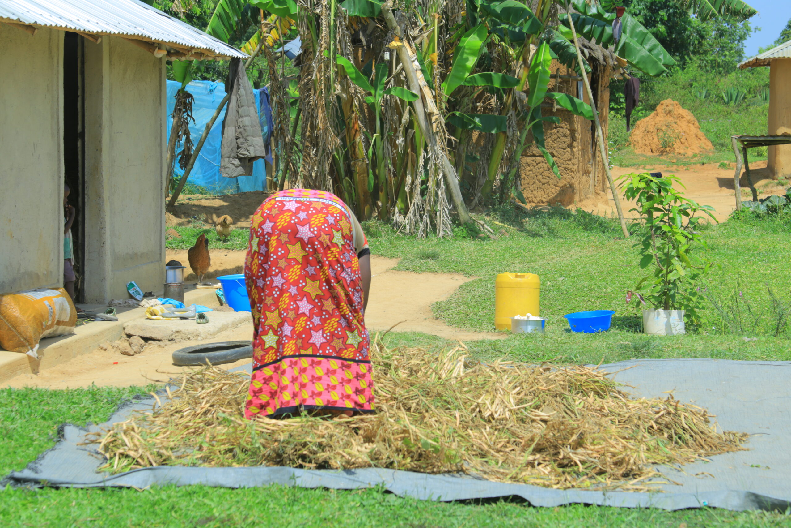 Galaksi_Community_Crop Farming